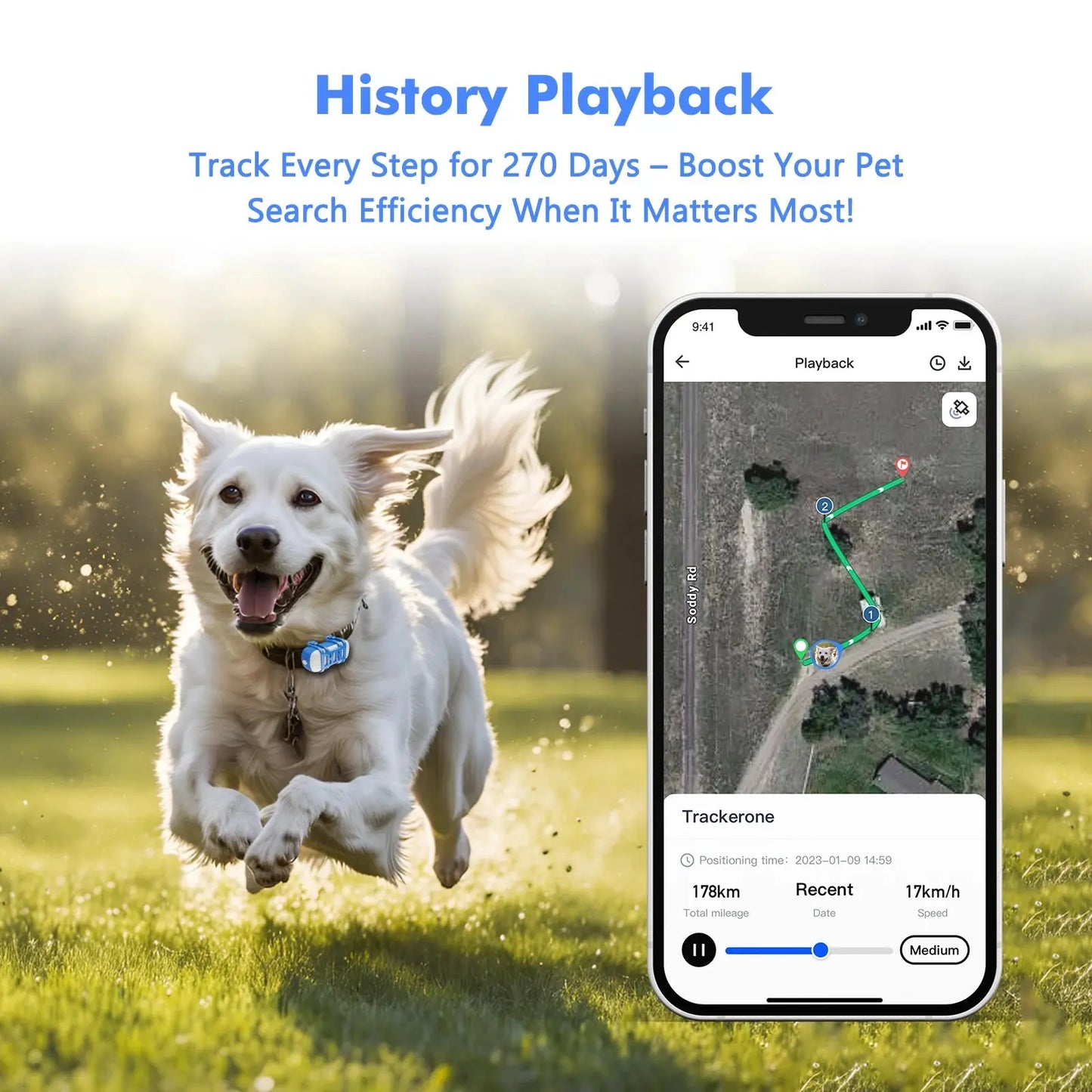 ‌4G Dog Cat GPS Tracker for Pets - Waterproof Smart Locator with App, Live Tracking & Light/Sound Search, Free Trial Included willgetstore
