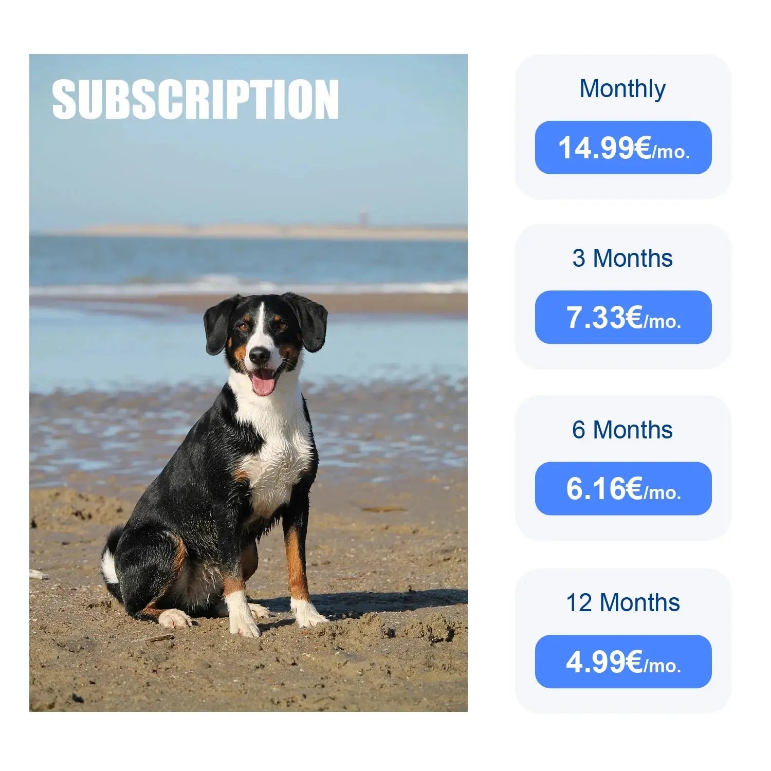 ‌4G Dog Cat GPS Tracker for Pets - Waterproof Smart Locator with App, Live Tracking & Light/Sound Search, Free Trial Included willgetstore