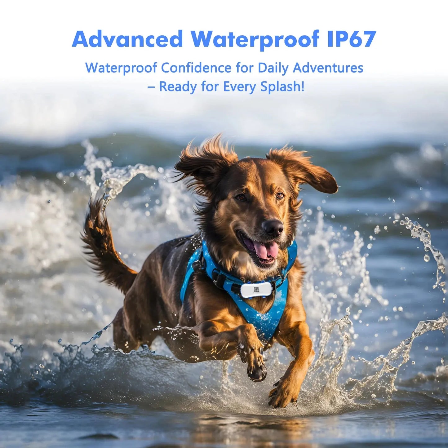 ‌4G Dog Cat GPS Tracker for Pets - Waterproof Smart Locator with App, Live Tracking & Light/Sound Search, Free Trial Included willgetstore